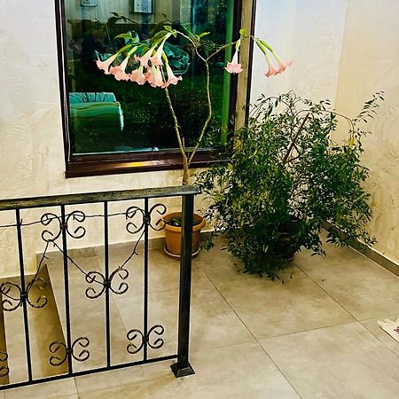 Hotel Elite House Μέστια Εξωτερικό φωτογραφία