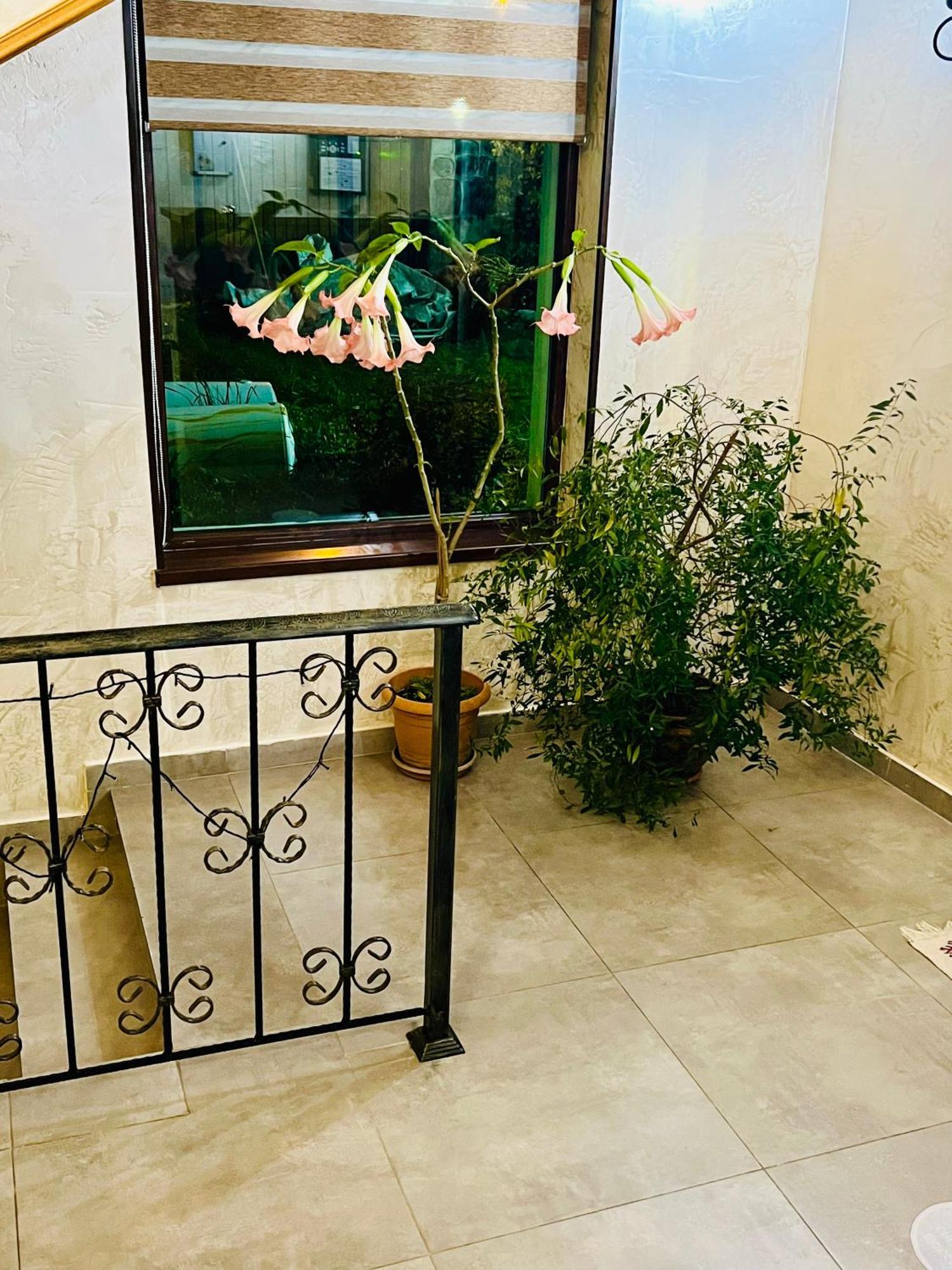 Hotel Elite House Μέστια Εξωτερικό φωτογραφία